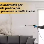 Trattamenti antimuffa per interni: guida pratica per eliminare e prevenire la muffa in casa